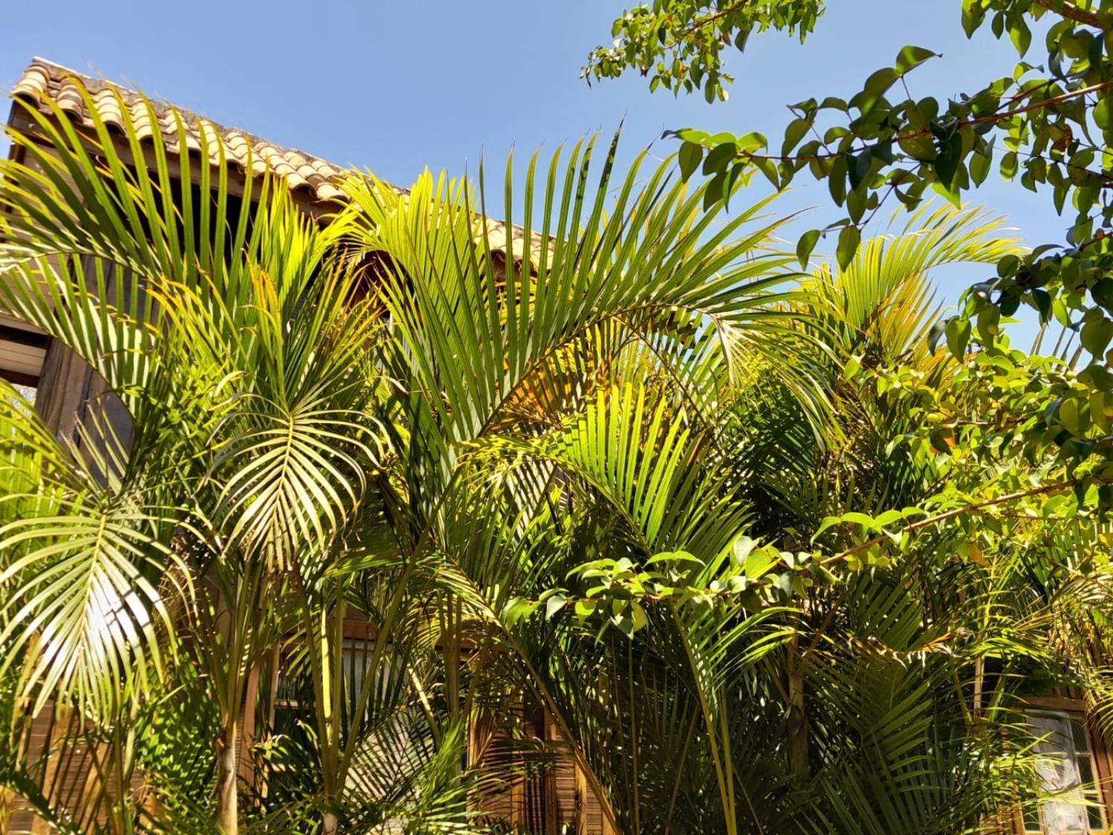 Recanto Das Bromelias Chales Guarda do Embaú المظهر الخارجي الصورة